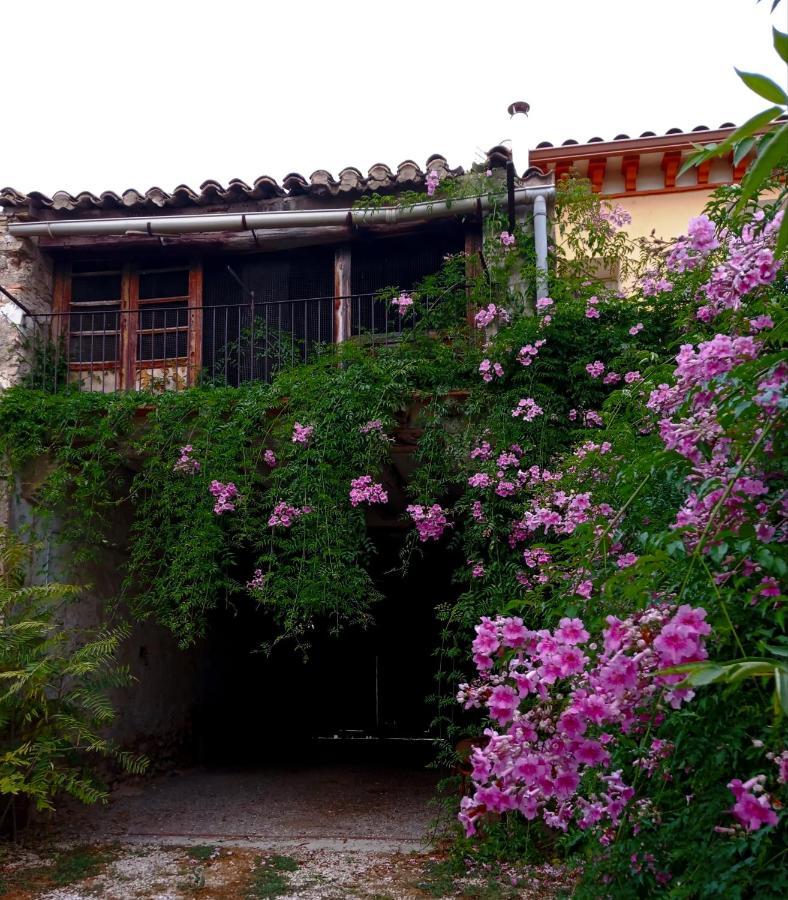 Casa Rural Alicia Villafranca de Ebro Eksteriør bilde